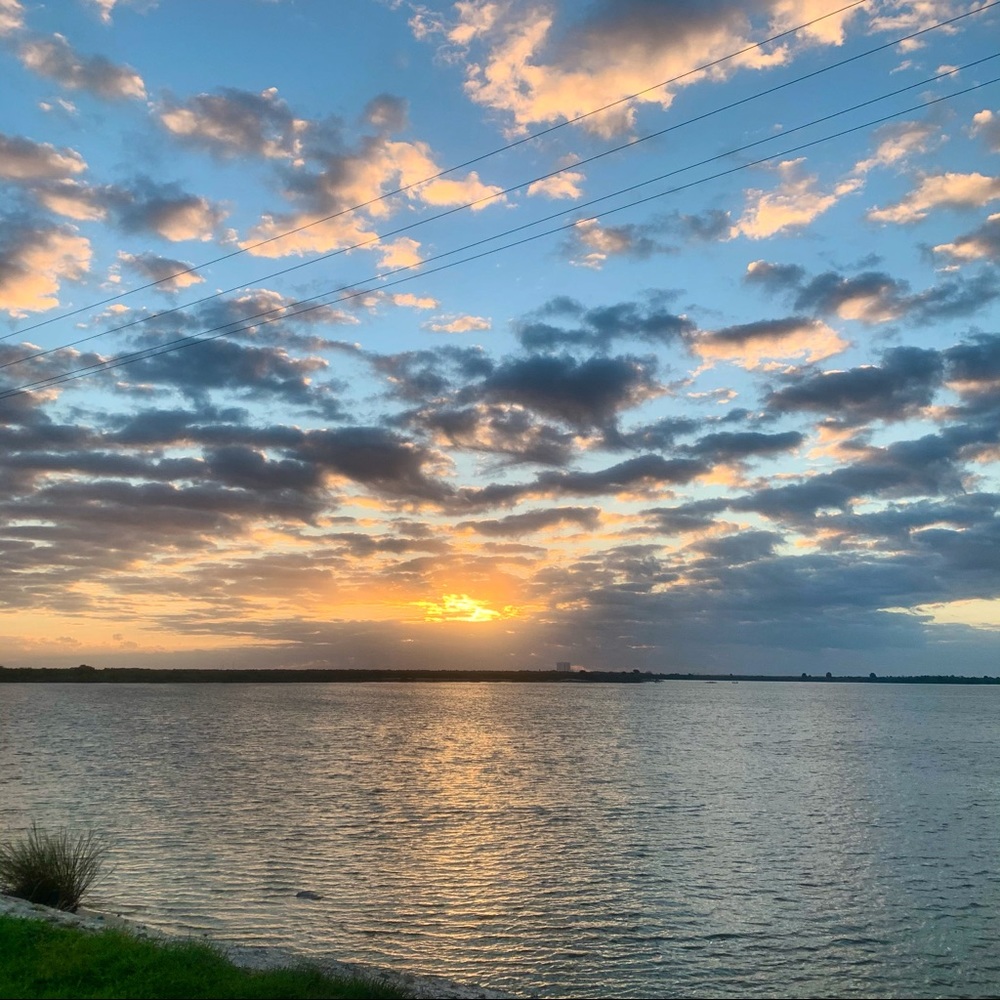 Meet your Posher, Rose